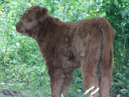 Maldwyn van de Ruigte 12-07-2014